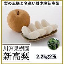 【予約受付中！】川淵果樹園の新高梨 2.0kg(2玉)【蜜のような甘さと芳醇な香り】の商品画像