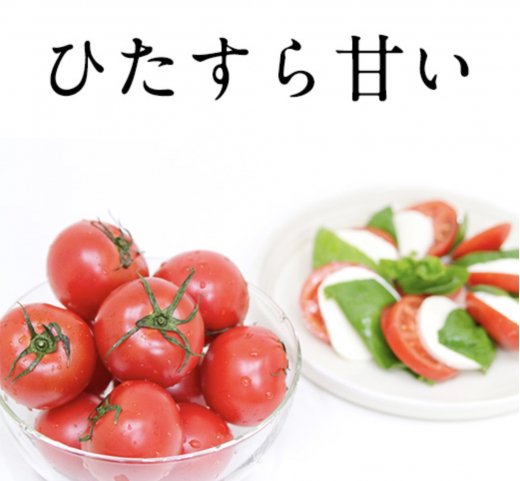 徳谷トマト 1kg箱（14-20玉）【高知が誇る最高級フルーツトマト ...