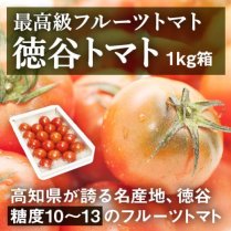 徳谷トマト 1kg箱（14-20玉）／【高知が誇る最高級フルーツトマト】の商品画像