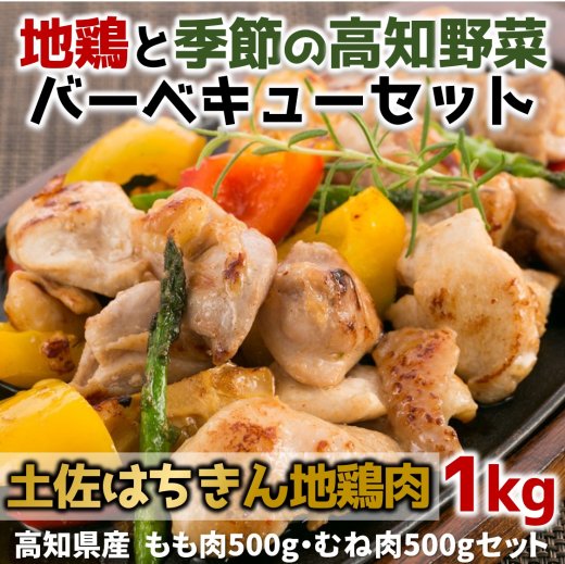 土佐はちきん地鶏肉と季節の高知野菜バーベキューセット まるごと高知online Shop