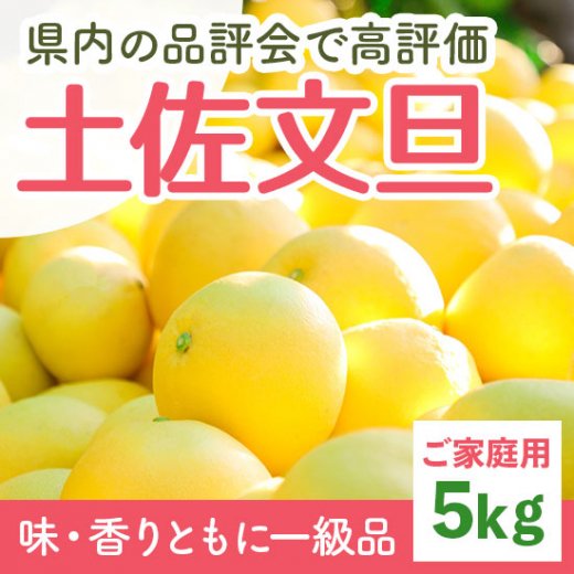 千光士農園の土佐文旦約5kg（ご家庭用） | 期間限定予約受付中 - 高知