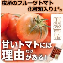 【愛情と情熱の】夜須フルーツトマト 約1kg箱 の商品画像