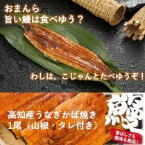 高知県産うなぎ蒲焼　特大サイズ　1尾セット（お徳用）の商品画像