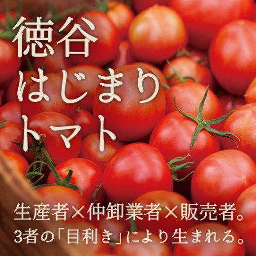 徳谷トマト】高知県が誇るフルーツトマトの名産地、徳谷トマト