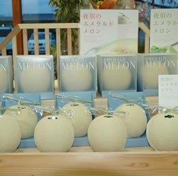 高知　高級アールスメロン5玉　夜須エメラルドメロン　隔離栽培 メロン 高知県夜須産 ”エメラルドメロン” ちょっと訳あり 大玉 5