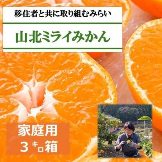 山北ミライみかん | 3kg箱 - 高知お取り寄せ・贈り物グルメカタログ
