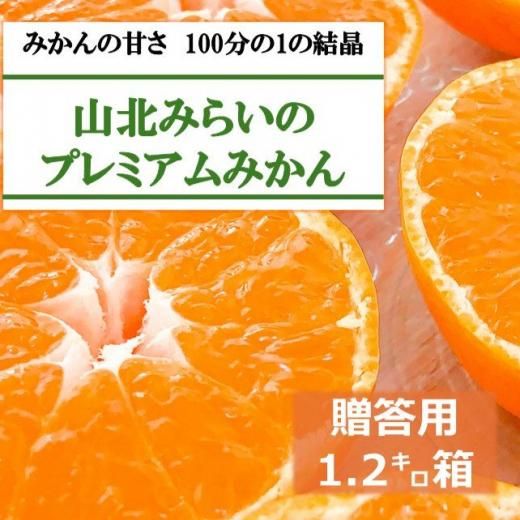 山北みらいのプレミアムみかん | 高知産 - 高知お取り寄せ・贈り物
