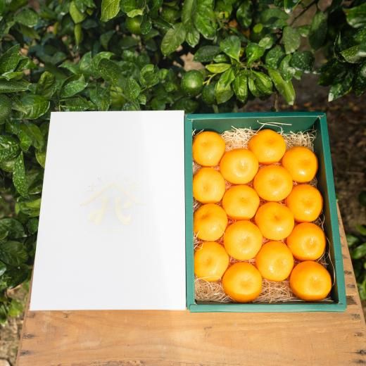 ミカン 山北みらいのプレミアムみかん | 高知産 - 高知お取り寄せ・贈り物