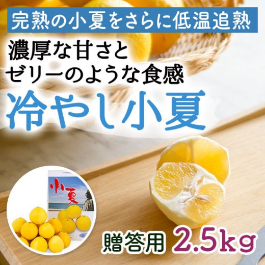 予約開始【贈答用】冷やし小夏 約2.5kg(12-20個) | 濃厚な甘さとゼリー