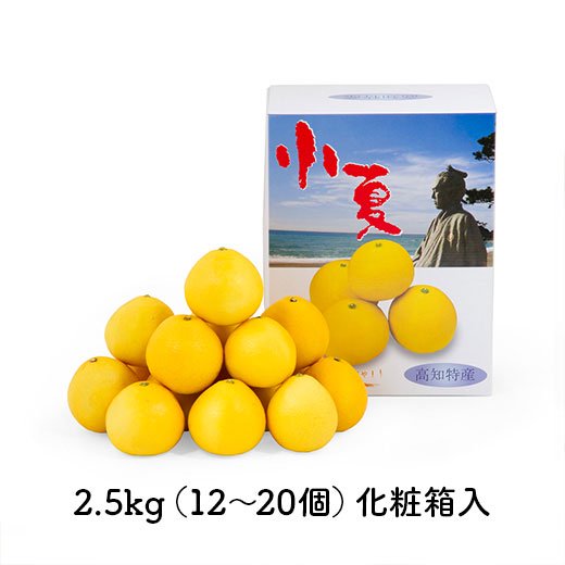 予約開始【贈答用】冷やし小夏 約2.5kg(12-20個) | 濃厚な甘さとゼリー