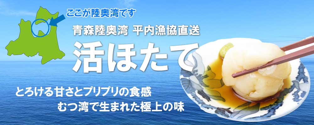 殻付き 活ホタテ 青森陸奥湾産 10キロ 《お届け日指定不可》 - 【公式】青森グルメをお取り寄せ！「ためのぶストア」 tamenobu store