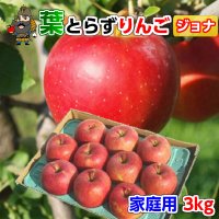 青森 りんご 訳あり 葉とらずりんご ジョナゴールド 3kg （10-12玉前後） ご家庭用 産地直送