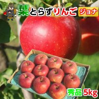 青森 りんご 葉とらずりんご ジョナゴールド 5kg（18-20玉前後） 秀品贈答用 青森県産 産地直送