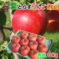 青森 りんご 葉とらずりんご ジョナゴールド 10kg（36-40玉前後） 秀品贈答用 青森県産 産地直送