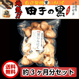 送料無料 黒にんにく 田子の黒 約3ヶ月分 まとめ買いセット 鉄腕ダッシュ 紹介されました 青森グルメをお取り寄せ ためのぶストア Tamenobu Store