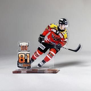 <img class='new_mark_img1' src='https://img.shop-pro.jp/img/new/icons6.gif' style='border:none;display:inline;margin:0px;padding:0px;width:auto;' />2025-26  ߥ˥륹