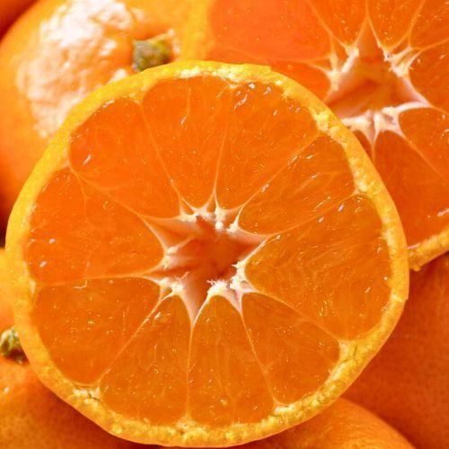 お得なご家庭用】完熟温州みかん 10kg サイズミックス 和歌山県