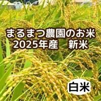 2025ǯޤޤĤΤơơ5kg