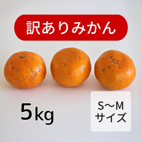 甘くて美味しいみかん 訳あり小さめサイズ ５kg まるまつ農園