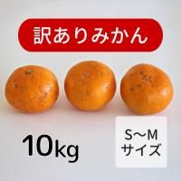 ۴ϲߤ 10 (SM) 