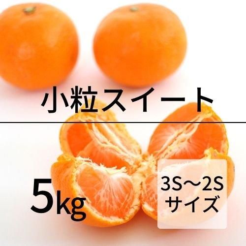(ももたろう)みかん5kg×1箱 3kg×2つ 2s 果物 甘い ミカン 大玉 温州 みかん 5kg 2L L【 送料無料 】愛媛県産 ミカン 箱