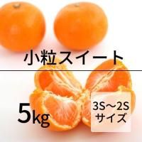 ϲߤ 5kg γ(3S2S) 