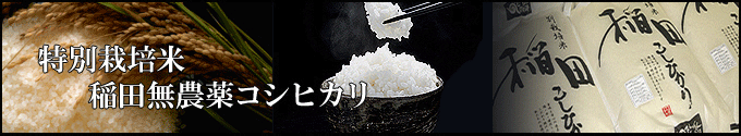おいしいお米お取り寄せ／特別栽培米 稲田無農薬コシヒカリ 白米5kg