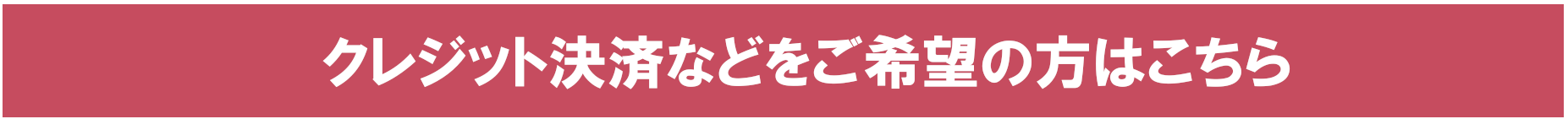 쥸åȷѤʤɤ򤴴˾Ϥ