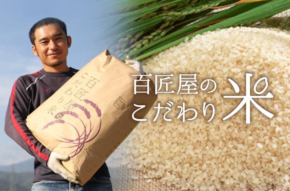 ひなた♪値下げ29年度 滋賀のコシヒカリ精米後発送　10kg✖2袋送込 滋賀県産 コシヒカリ 10kg(5kg×2袋) 無洗米 令和6年産 米 お米