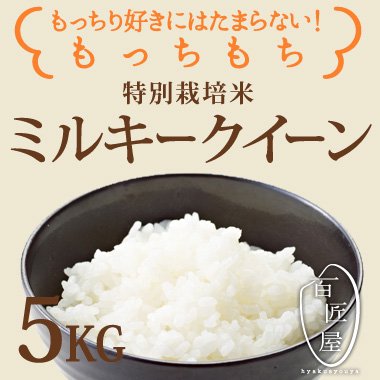 特別栽培米】減農薬減化学肥料ミルキー クイーン5KG - 百匠屋