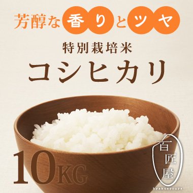 コシヒカリ玄米　10キロ 低農薬栽培米