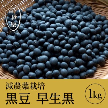 R5年産　近江黒大豆 1Kg - 百匠屋