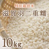 特別栽培米】滋賀羽二重糯（もち米）10Kg - 百匠屋