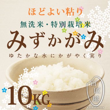 【無洗米・特別栽培米】減農薬減化学肥料みずかがみ10KG - 百匠屋