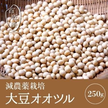 大豆 乾燥豆（大豆） | Beans Market