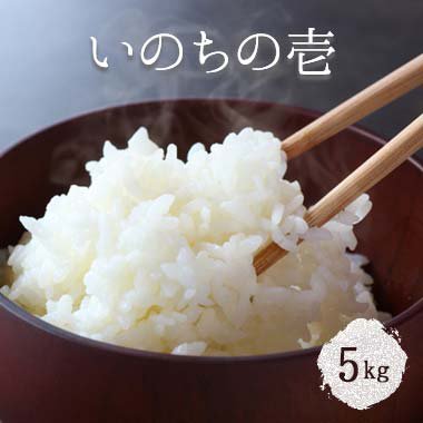 減農薬(当地比50％減)　いのちの壱　5kg - 百匠屋