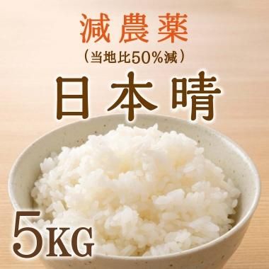 楽天市場】日本晴 白米 20kg（10kg×2袋） 令和6年 滋賀県産 米