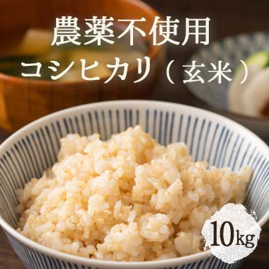 珍しい コシヒカリ玄米❤️20㌔無農薬天日干し無農薬 - 米