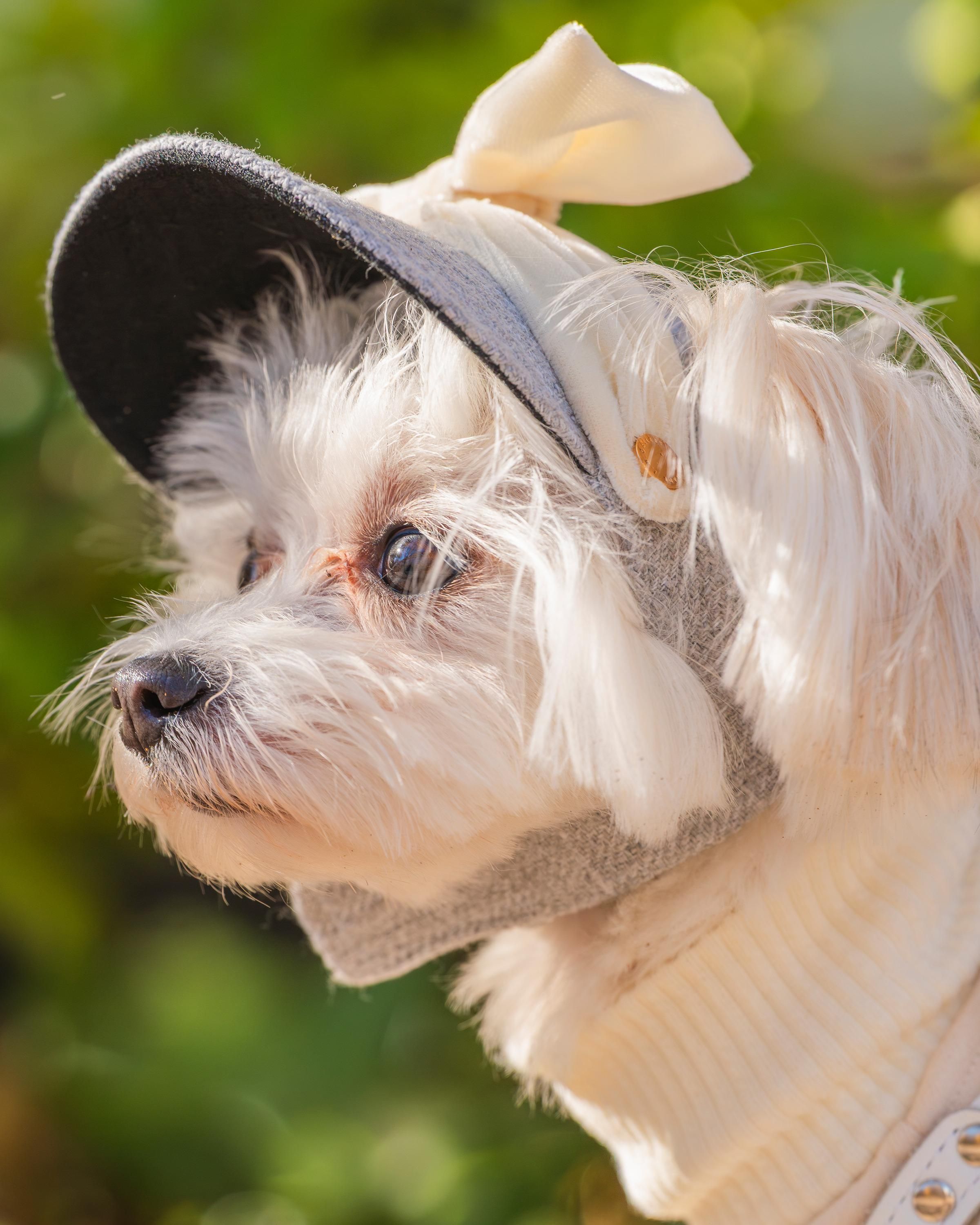 ��륰�졼��