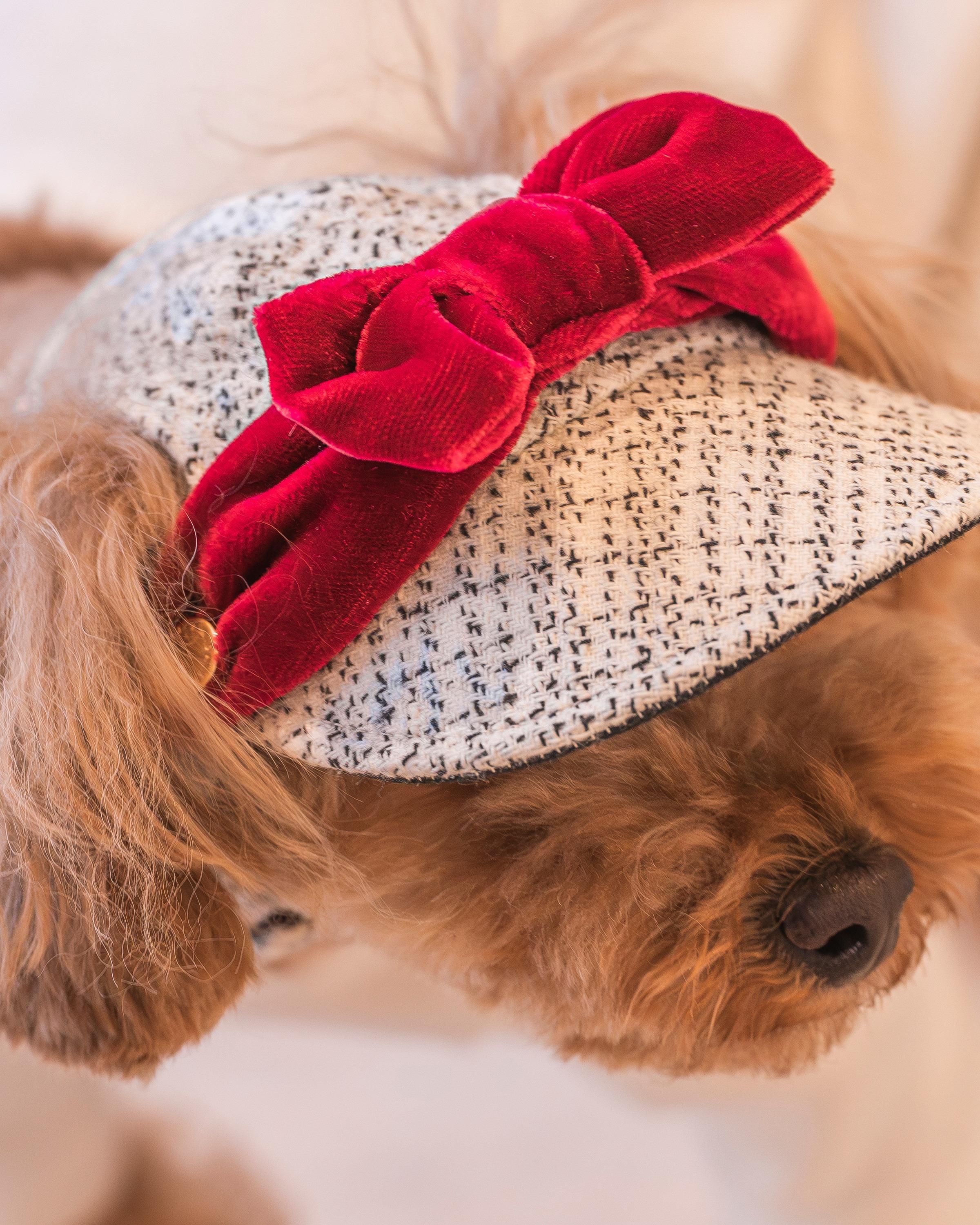 �Τ������