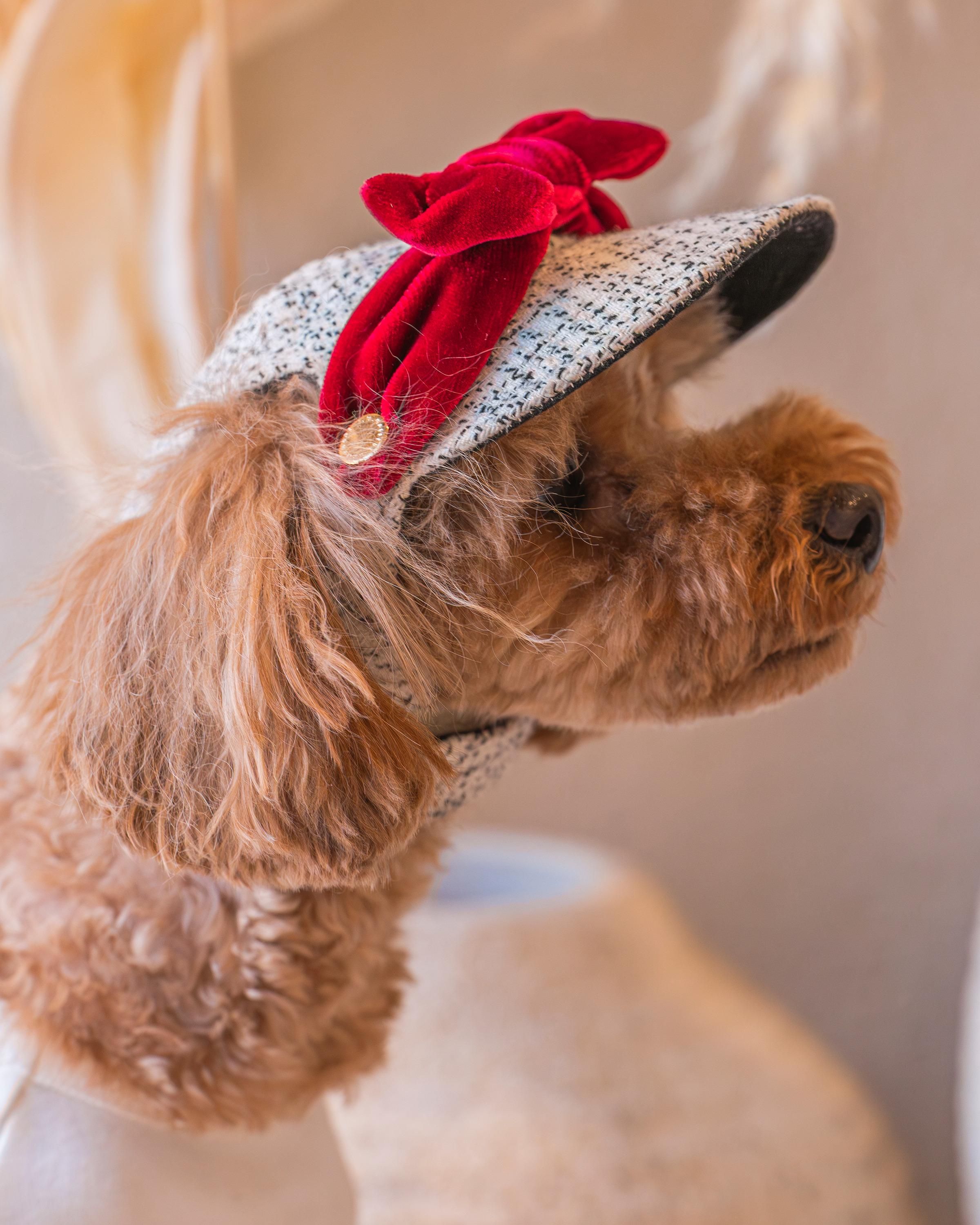 �Τ�����ֲ���