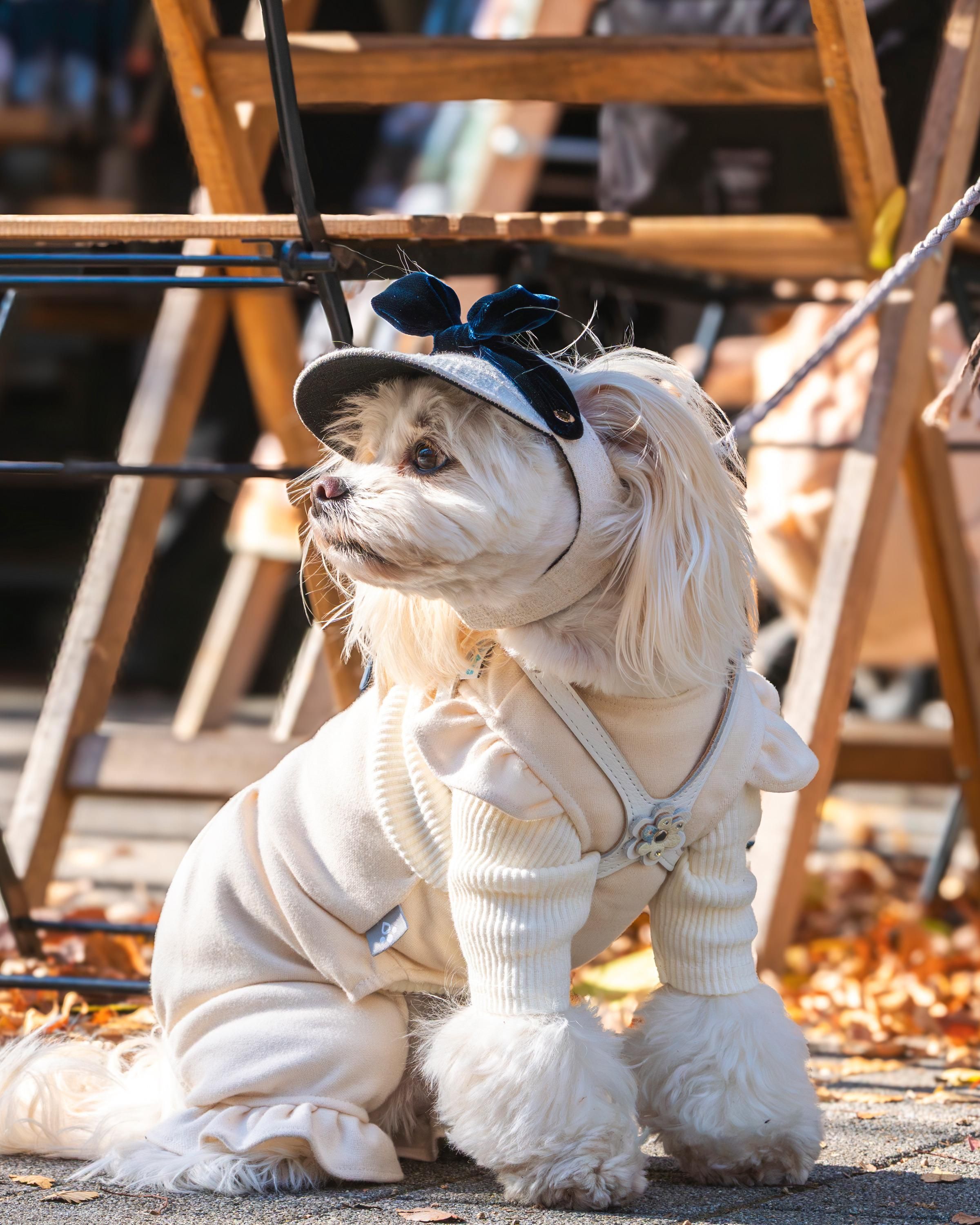 �򺰥����ǥ��͡���