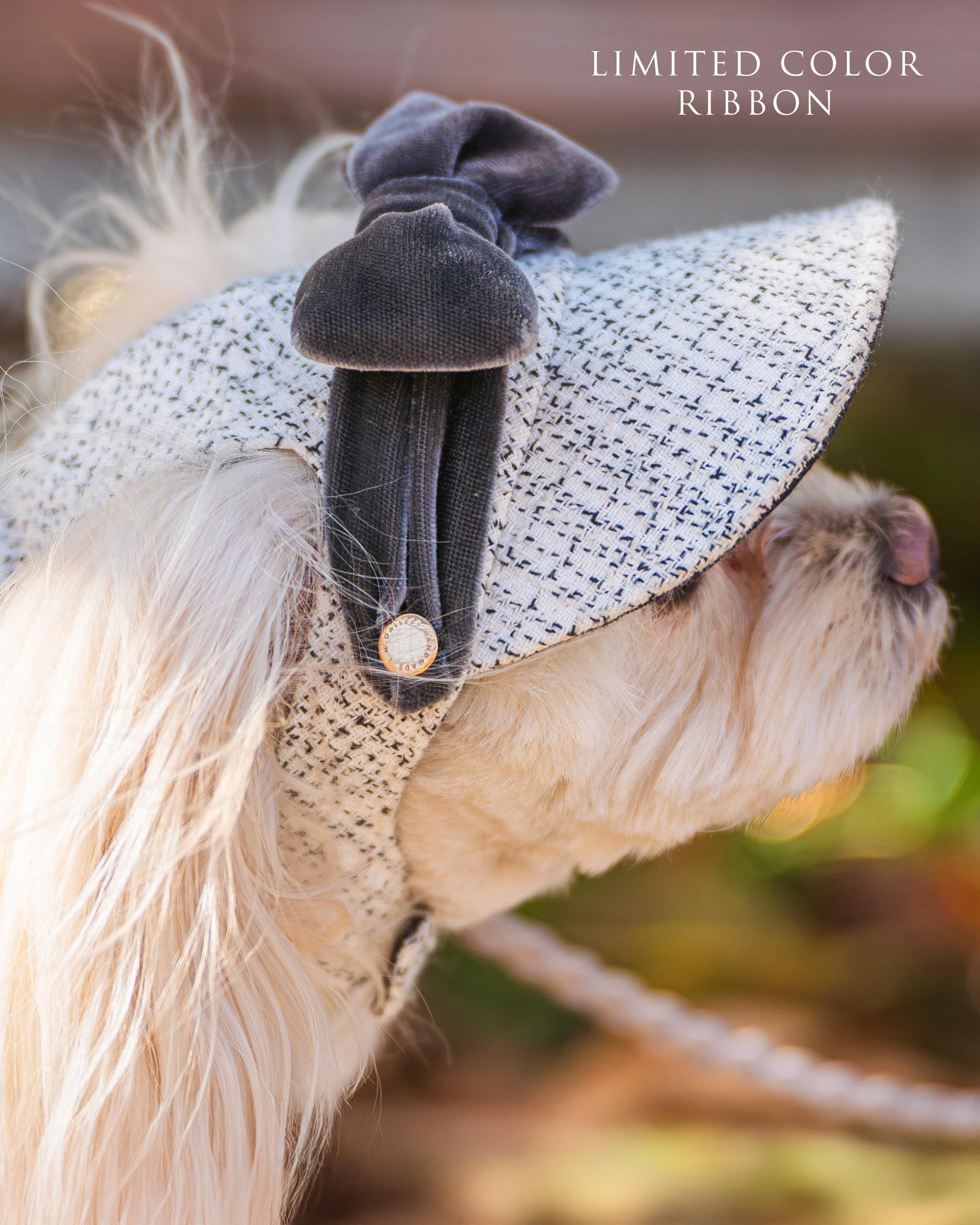 �����ܥ�