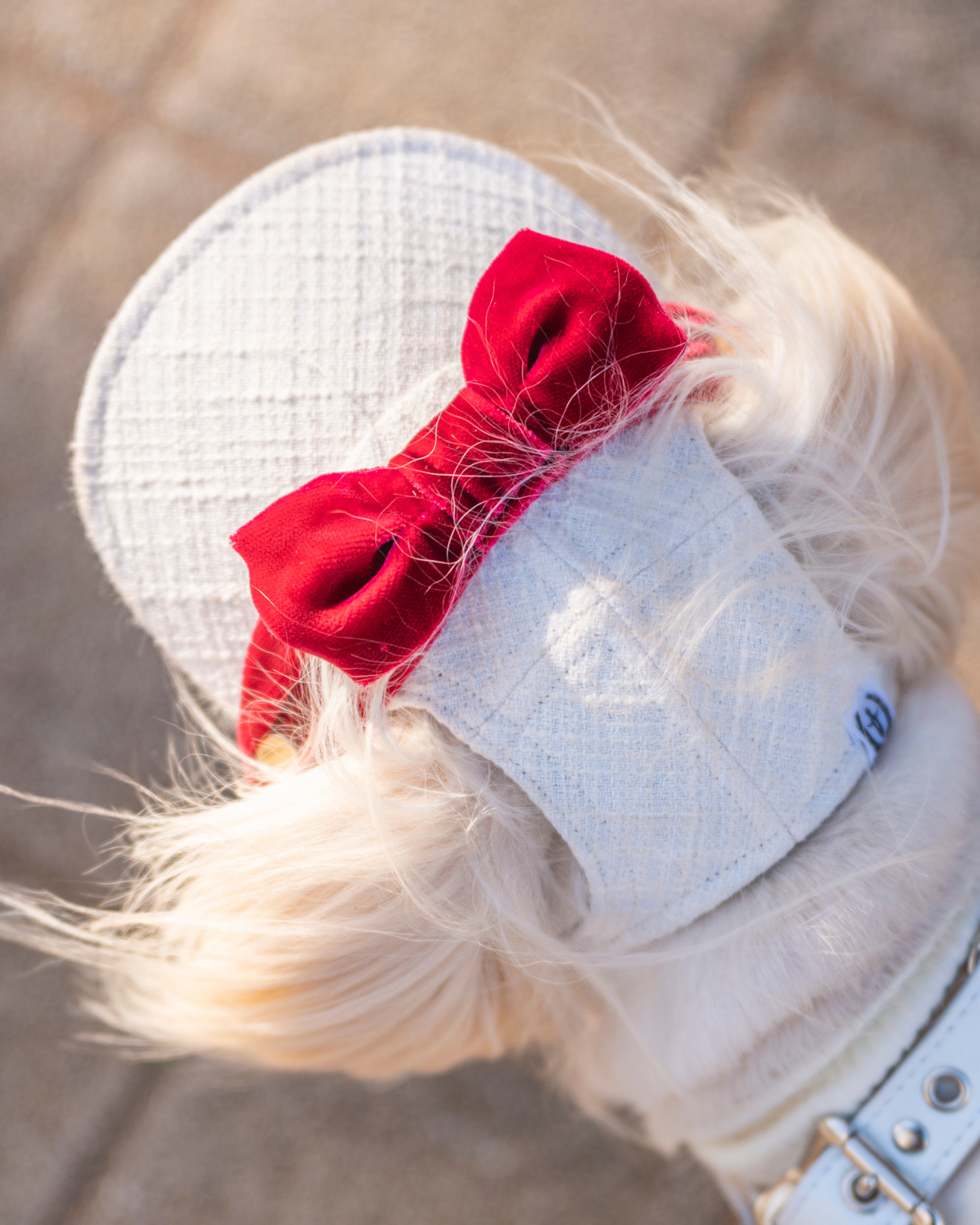 �������֥�ܥ�夫��