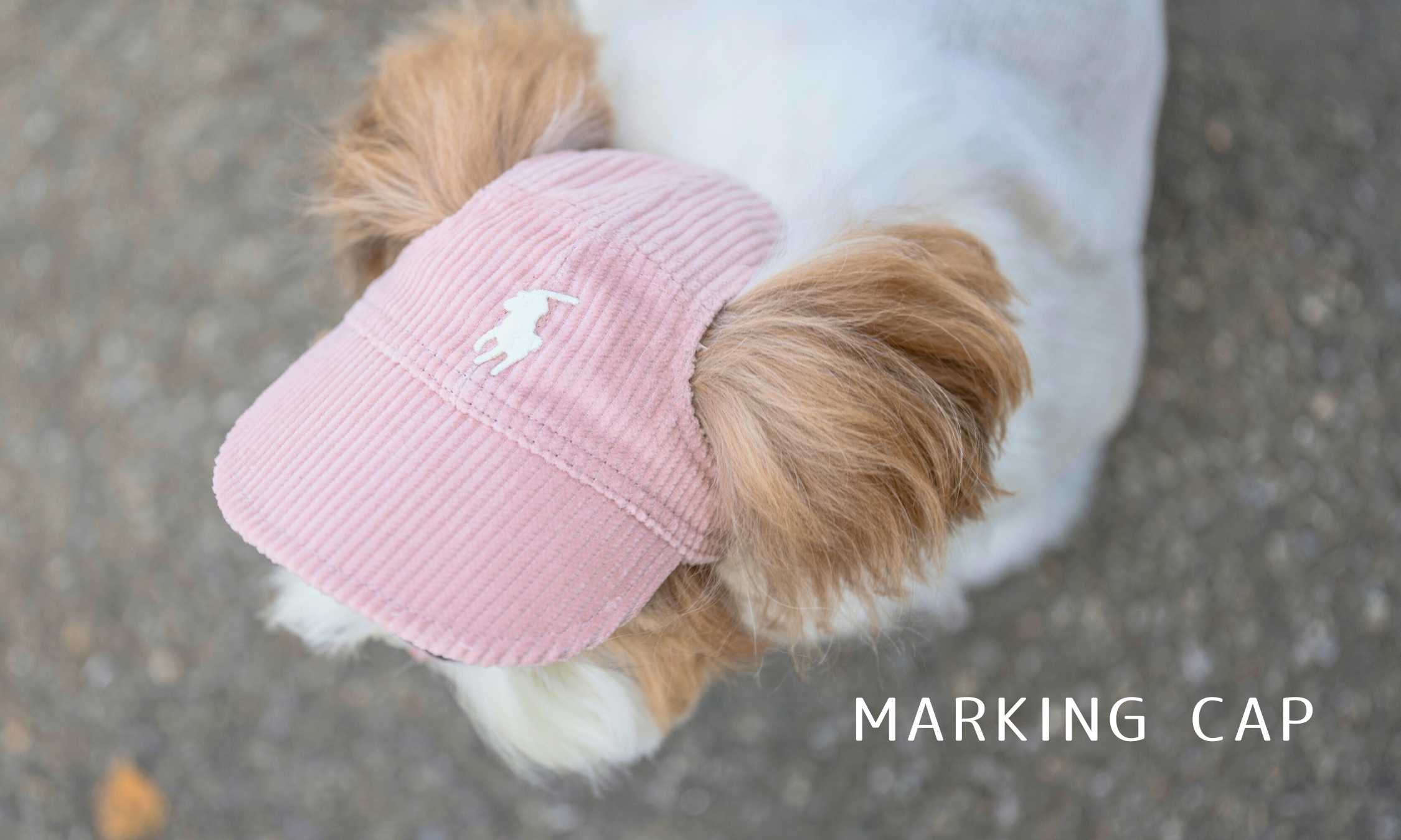 MARKINGsp