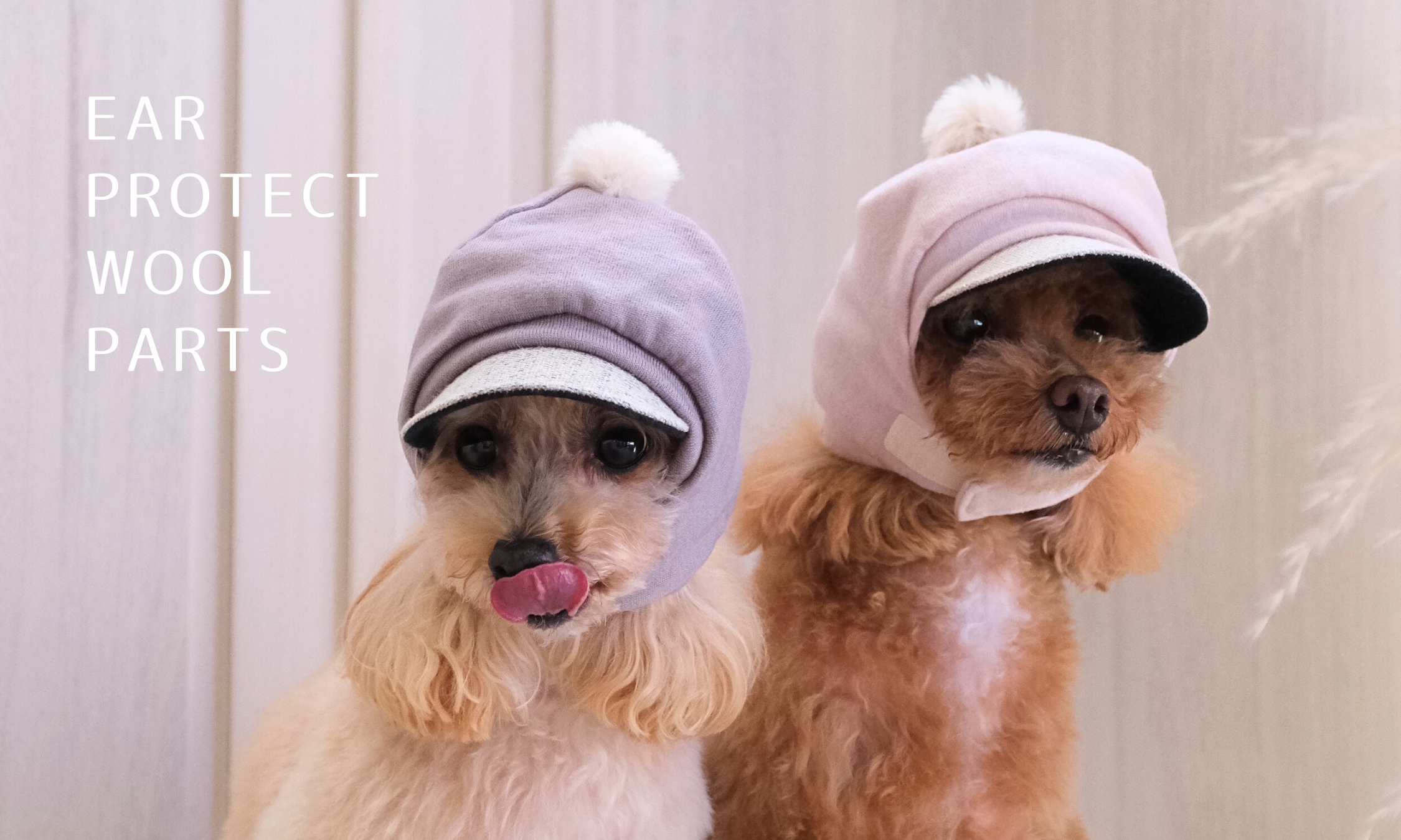 EARPROTECTsp