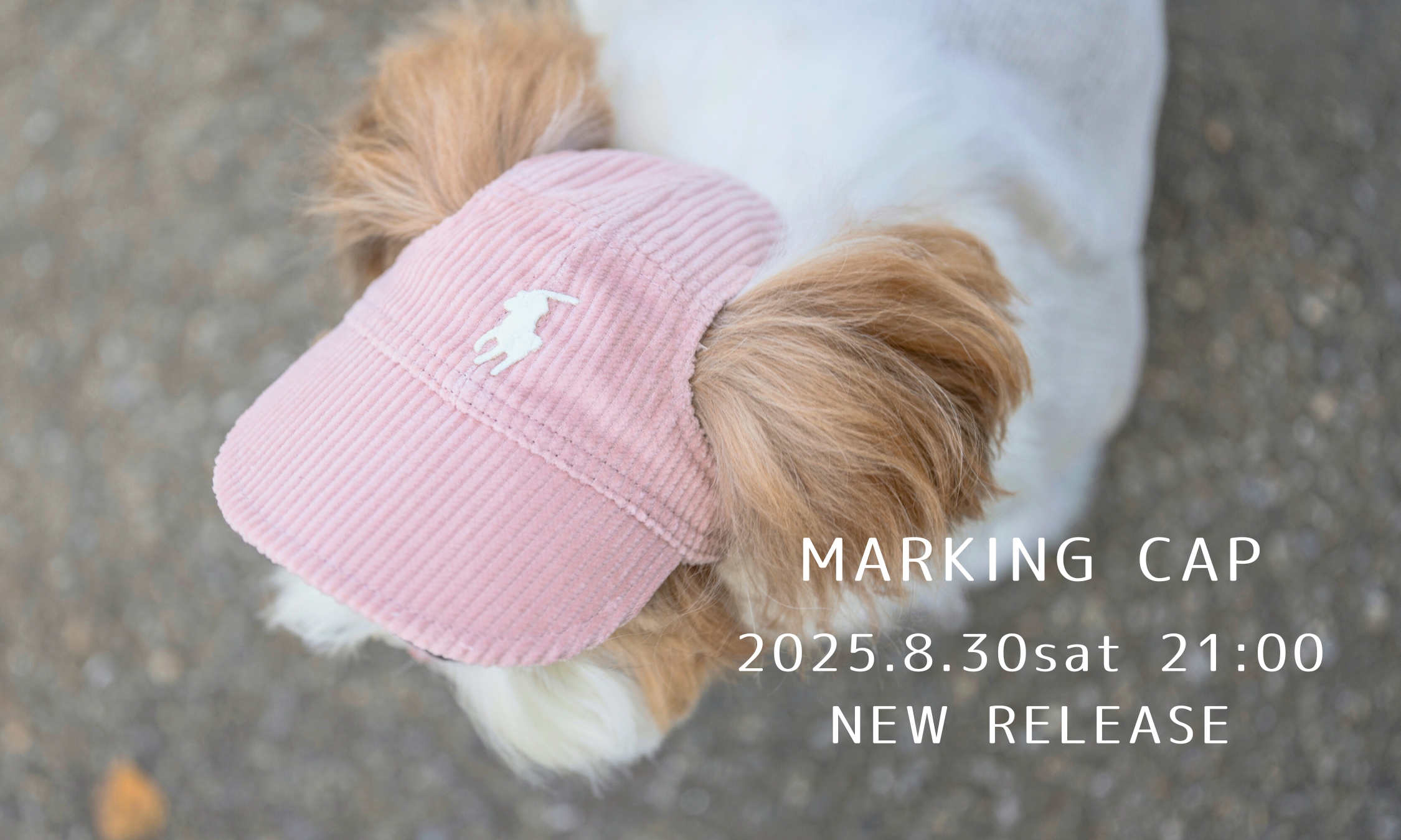 MARKINGsp
