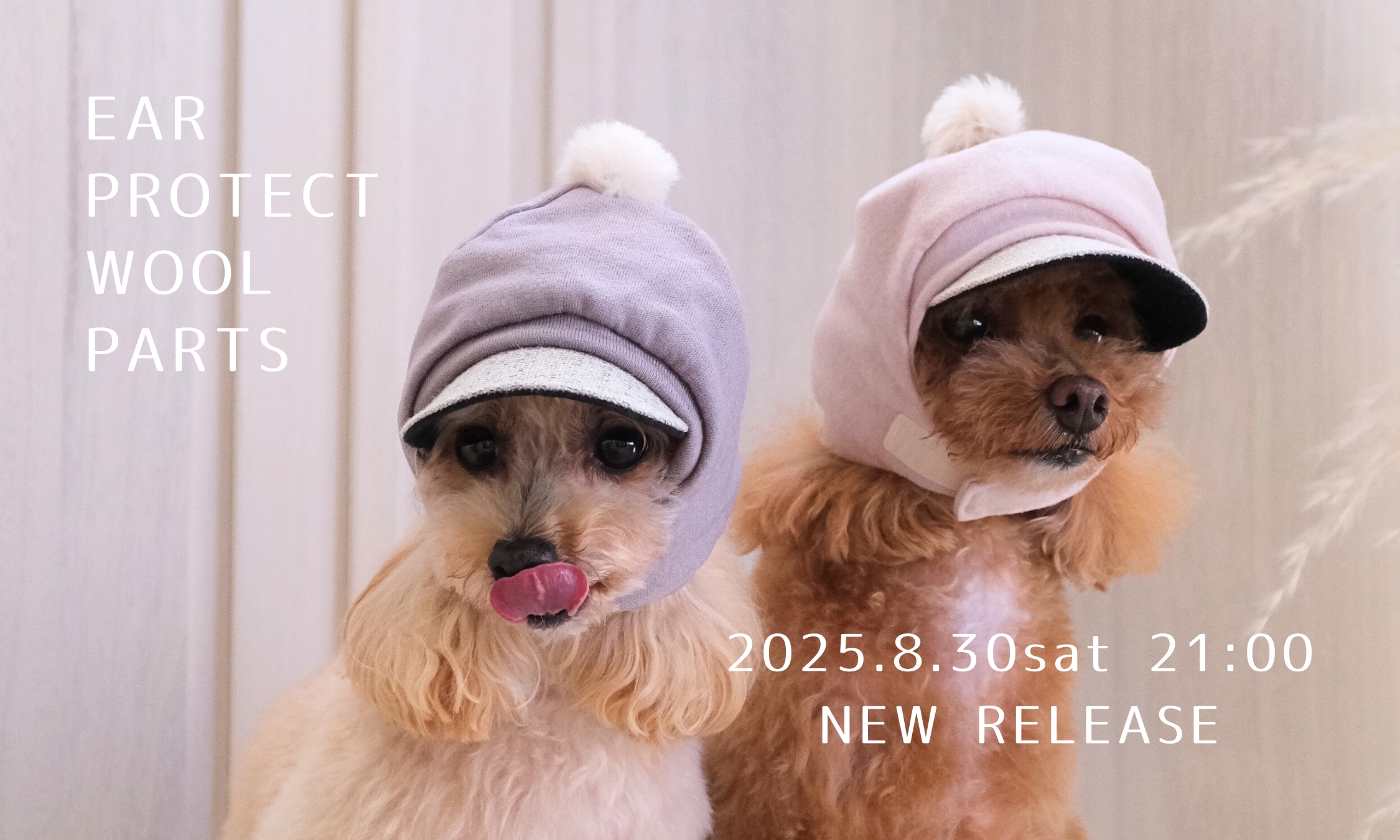 EARPROTECTsp