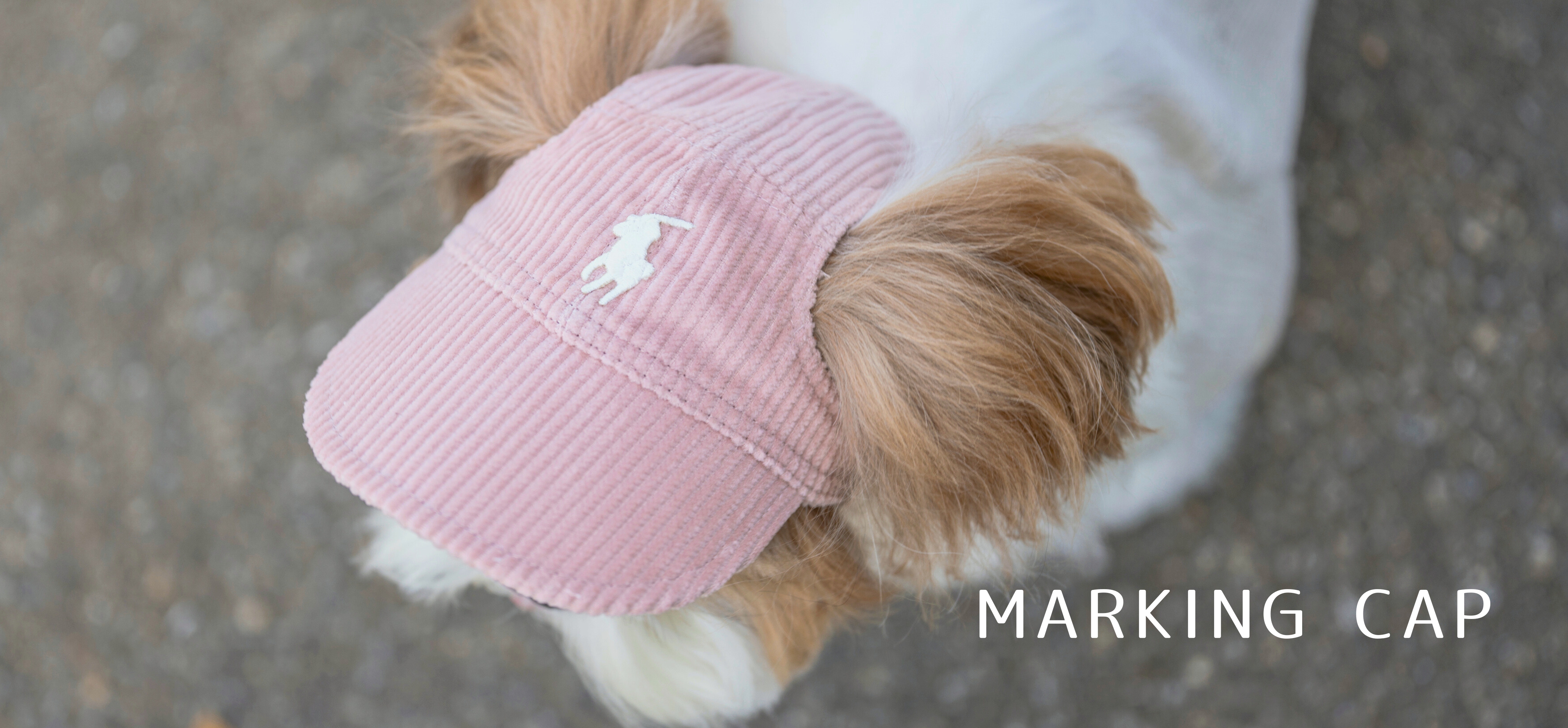 MARKINGpc
