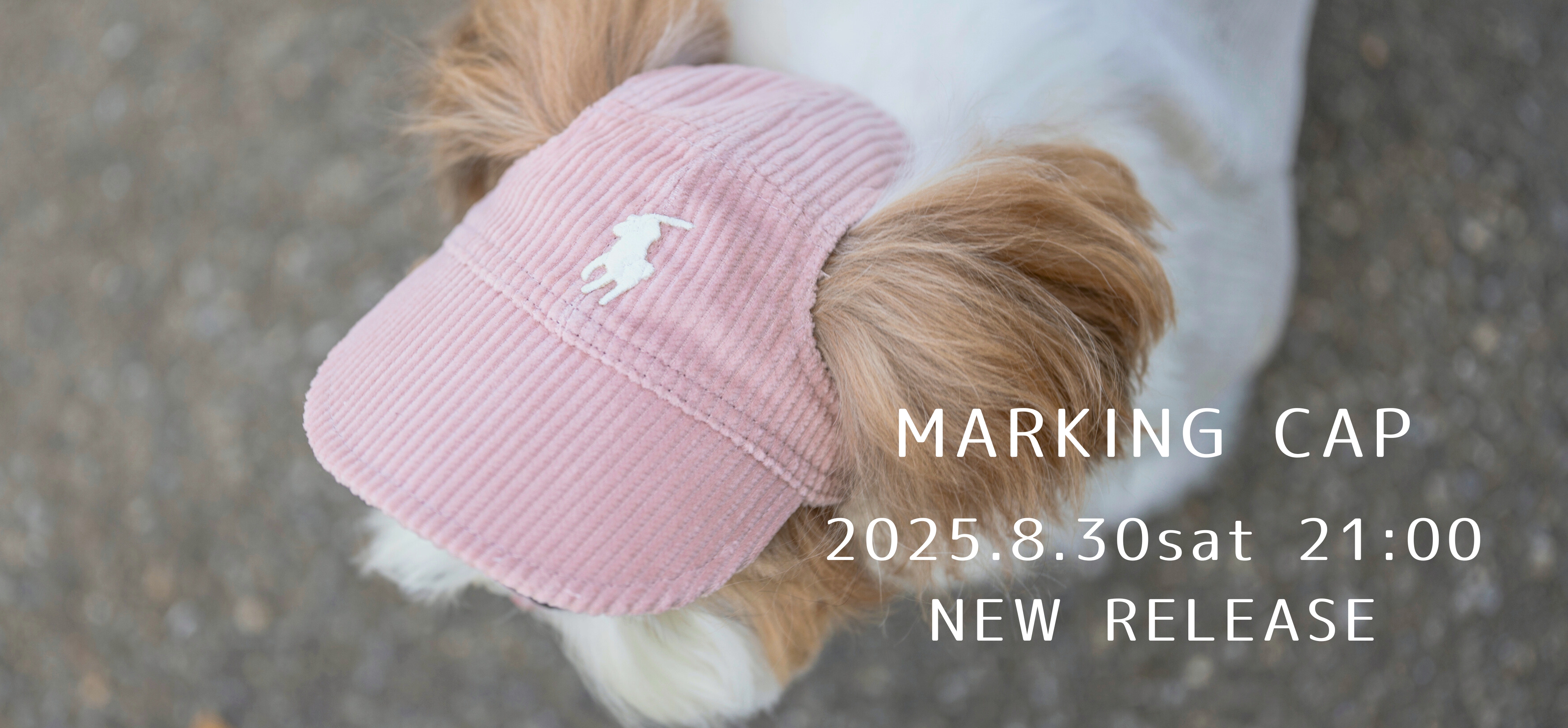 MARKINGpc